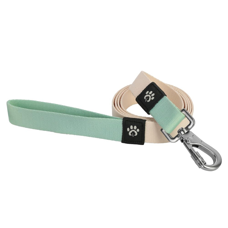 Dog Leash, Eco-Friendly Recycled Polyester Webbing | Soft Hypoallergenic, Durable Metal Swivel Hook, Collar Attachable, 5.2 ft Length| Size S, Peach Creme - PawsPlanet Australia