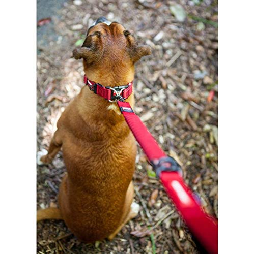 EzyDog Zero Shock Dog Lead - Shock Absorbing - Anti Pull Lead for Medium Dogs, Dog Leads For Large Dogs - Soft Double Handle, Traffic Control, 1.2m - Blue 48 Inch