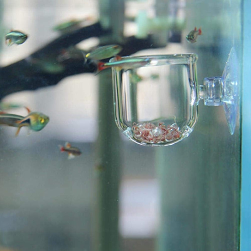 Pssopp Aquarium Red Worm Fish Feeder Transparent Suction Cup Fish Tank Feeding Cup Food Container for Feeding Shrimp Fish Glass Hole Cup - PawsPlanet Australia