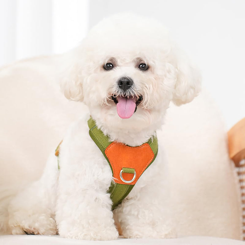 Green XS No Pull Dog Harness for Small Dogs, Anti-Escape Easy Walk Puppy Harness with 2 Leash Clips, Adjustable Dog Vest Harness for Training Walking(Green, XS) Green - PawsPlanet Australia