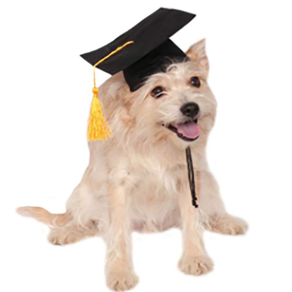 Chanbin Pet Graduation Caps with Small Dog Graduation Hats with Yellow Tassel for Dogs Cats Holiday Costume Accessory