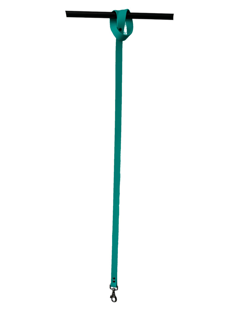 L'Atelier du Fourmilier Dog Leash in BioThane material, Width 25 mm (Teal)