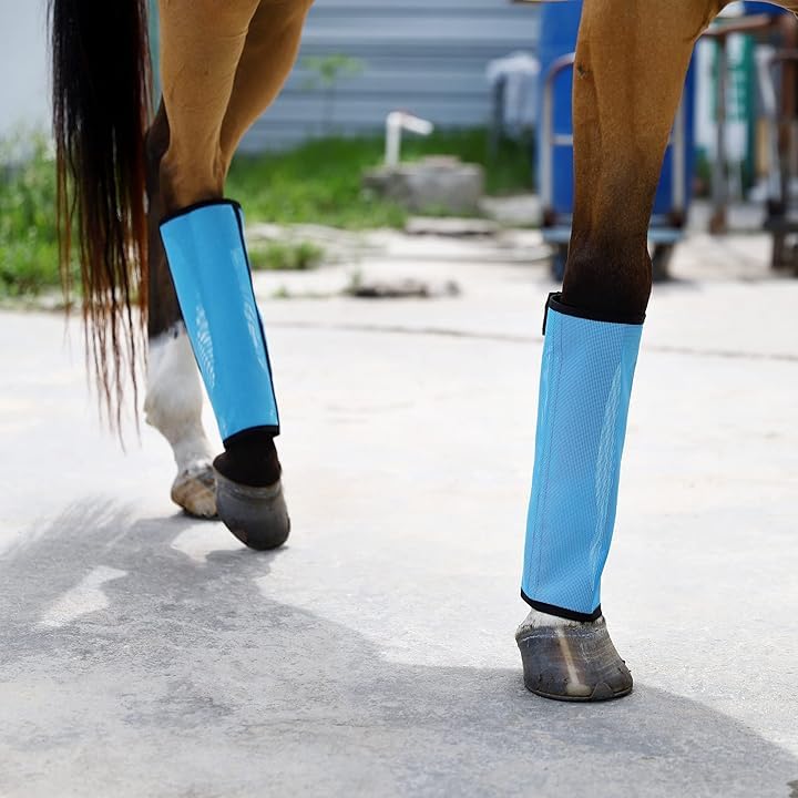 Horse Fly Leggings Boots – Set of 4 UV-Protective Stretch Mesh Fly Boots with Stays, Full‑Leg Coverage Sky Blue - PawsPlanet Australia