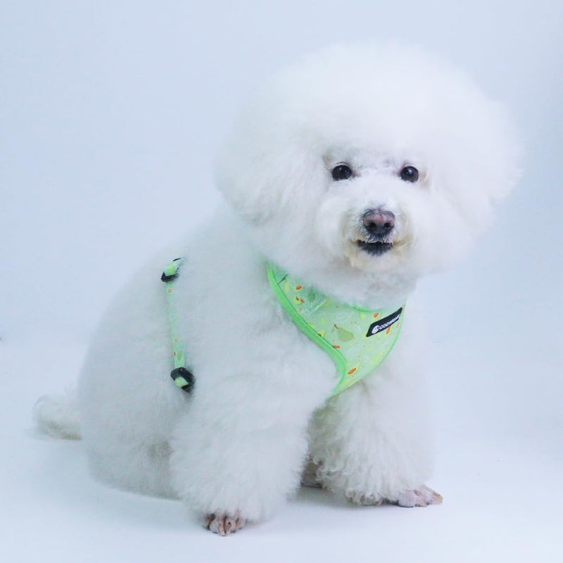 Dog Harness and Leash Set, Adjustable Dog Harness, Dog Leash, No Pull No Choke Puppy Harnesses for Walking Training for Small Medium Large Pet S(Chest 13 - 19", Neck 9.5 - 13.1") Avocado - PawsPlanet Australia
