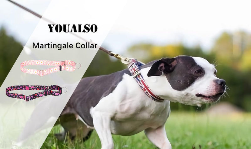 Martingale Collar for Dogs, No-Slip Escape Proof Choke No Pull Cinch Soft Nylon Dog Training Collars Adjustable for Small Medium Large Breed Pet Dogs, Pink Daisy M 8 - PawsPlanet Australia