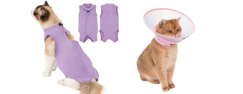 Avont Cat Recovery Suit Post-Surgery Onesie Bundle with Adjustable Cat Cone Collar, Transparen PVC Anti-Lick E-Collar - S