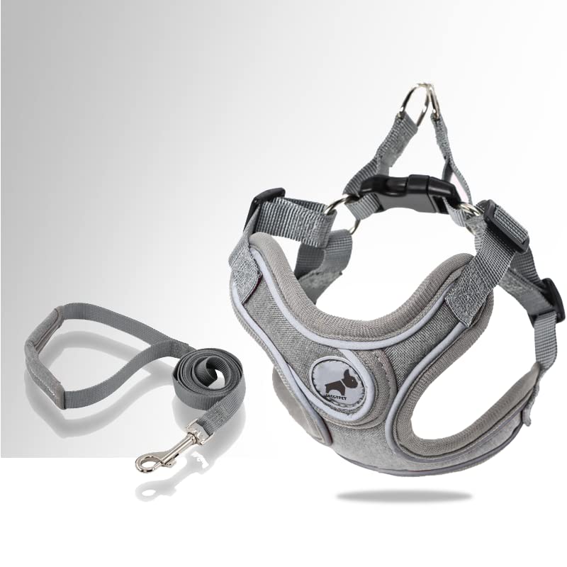 Dog Harness with Leash Set, No Pull Adjustable Step in Dog Collars Harness with Breathable Padded Vest Harness for Small Medium Large Dogs Training and Running(L, Gray) L - PawsPlanet Australia