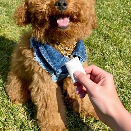 Dog Harness for Small Dogs, Cat Harness, Handmade Adjustable Vest, Denim Dog Collar, No Pull Harness, Cotton Adjustable Vest, Small Dog Collar, Denim Dog Vest (S) S - PawsPlanet Australia
