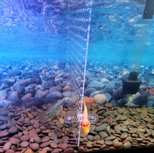 Fish Tank Divider Acrylic Aquarium Divider Kit with 8 Suction Cups Accessories Fish Separator Transparent Plate (Suction Cup Included) 11.8 * 15.7in 11.8*15.7in - PawsPlanet Australia