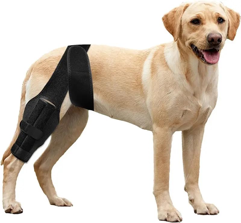 Dog Knee Brace for Ligament Injuries with Side Stabilizers, for Front or Hind Leg; Keeps The Joint Warm and Stable - Extra Support - Reduces Pain and Inflammation (Large) Large