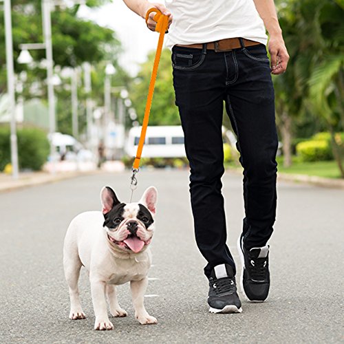 Downtown Pet Supply - Long Dog Leash - Dog Training Leash - Recall & Obedience Dog Training Tools - Nylon and Lengths 20 Foot Orange - PawsPlanet Australia