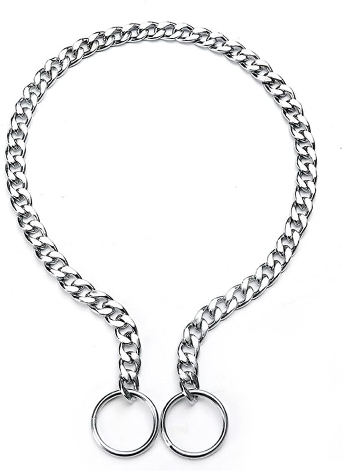 Dog Choke Collar for Large Dogs, Dog Chain Collars Training Metal Link Slip P Chain Choke Heavy Duty Martingale Collar for XS Small Medium Large Big XL Breed Dogs (Silver, XL) Silver XL(Neck Max 22inch)D4mm