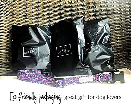 Lucky Love Dog Martingale Collar Leash Set, Premium No Slip Collar, Great for Whippets, Greyhounds, and More (Primrose, Large) - PawsPlanet Australia