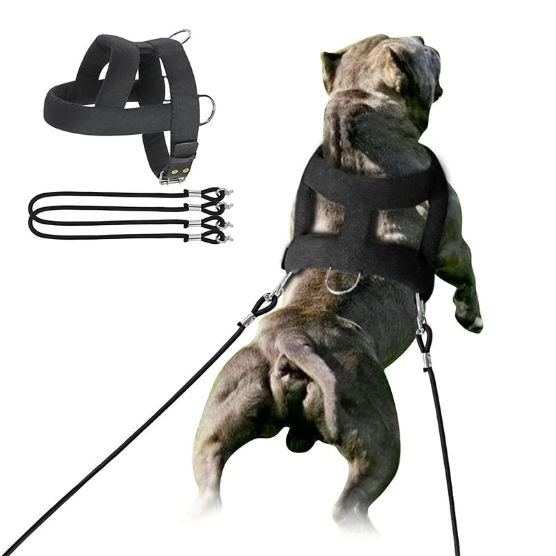 Forestpaw Heavy Duty No Pull Dog Harness for Training-Tactical Vest with 3 Metal Rings,Soft Padded Sled Harness for Medium to Large Dogs,Chest fits 23-28.5" Solid Chest:23-28.5",Neck:20" - PawsPlanet Australia