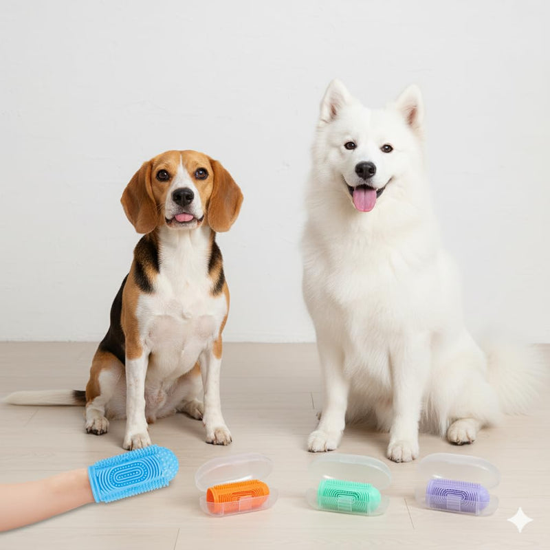 Dog Finger Toothbrush 4-Pack – Pet Tooth Brushing Kit for Dogs & Cats, Puppy & Adult Dental Care – Soft Silicone Finger Brushes for Teeth Cleaning (Blue, Green, Orange, Purple) - PawsPlanet Australia