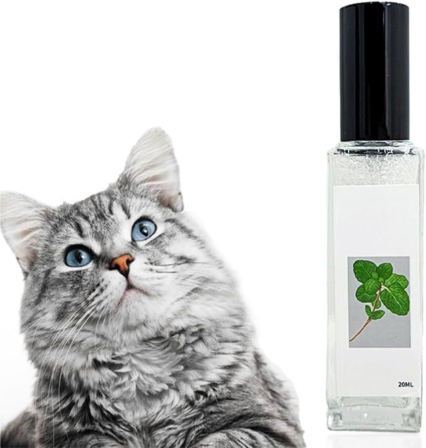Herbal Cat Joy, Catnip Spray for Indoor Cats, Herbal Cat Joy Spray, Celery Pets Catnip Spray, Herbal Cat Joy, Herbal Cat Joy Celery Pets - PawsPlanet Australia