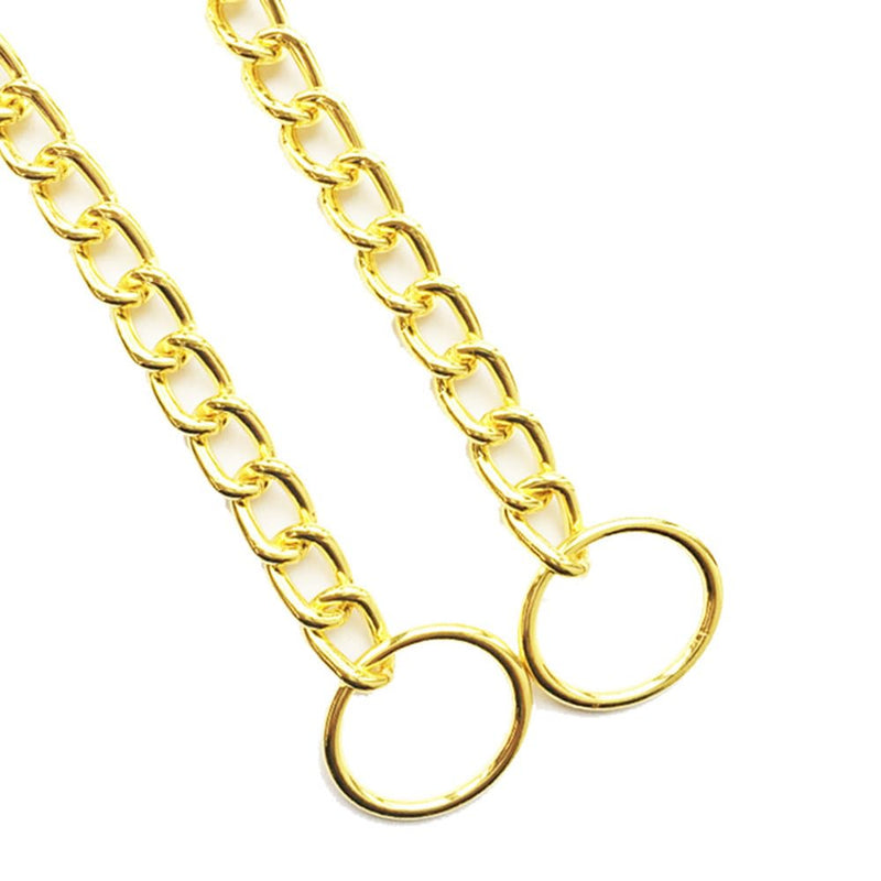 Gold Choke Chain for Dogs, 2Pack Heavy Duty Training Choker Collar for Dogs Metal Slip P Link Martingale Collars for XXS XS Small Medium Large Dog, XL XL(Neck Max 22inch)D4mm 2Pack Gold - PawsPlanet Australia