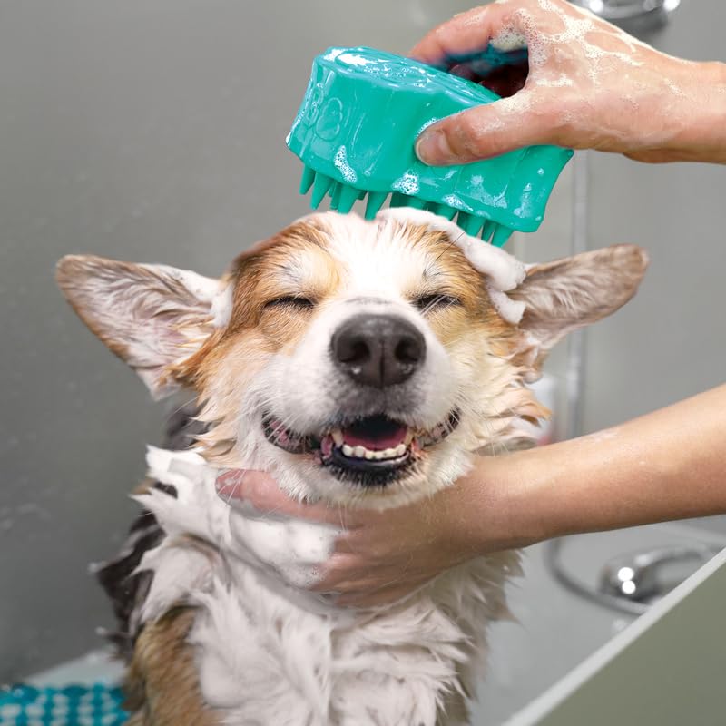 KONG ZoomGroom Bubbles Dog Brush - Soap Dispensing, Massaging and Gooming Brush for Dogs, Removes Shedding Hair - Works on All Coat Types and Lengths