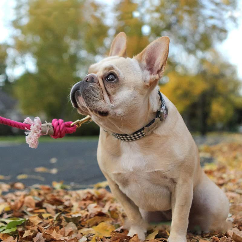 Glow Pups Pink Dog Leash, 5 ft Rope Leash for Small, Medium, Large Dogs, Handmade Caribbean Cotton Boho Chic Style with 360° Swivel Clasp, D-Ring for Accessories (Bright Pink) Bright Pink - PawsPlanet Australia