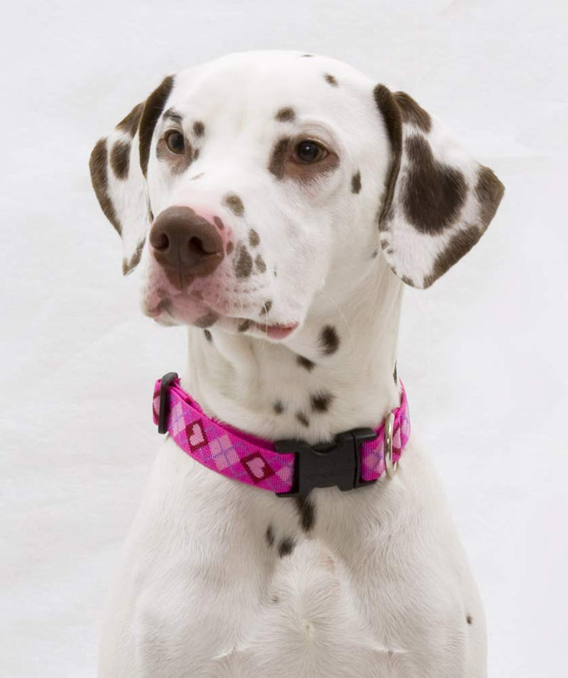Lupine Medium Dog Collar 1" Wide Puppy Love Design adjusts from 12" to 20" 1"W; 12-20" Neck - PawsPlanet Australia