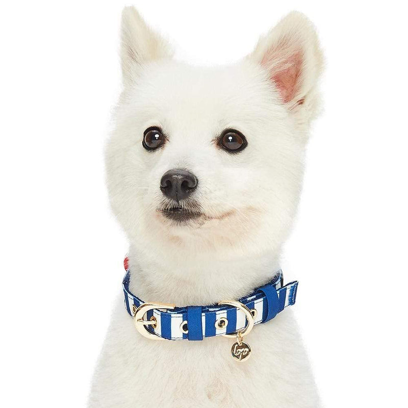 Blueberry Pet 4 Patterns Bon Voyage Sea Lover Adjustable Dog Collar in Chunky Nautical Blue Stripes, Neck 17-20.5", for Large Breed Large: (17"-20 1/2") Neck * 1" Wide - PawsPlanet Australia