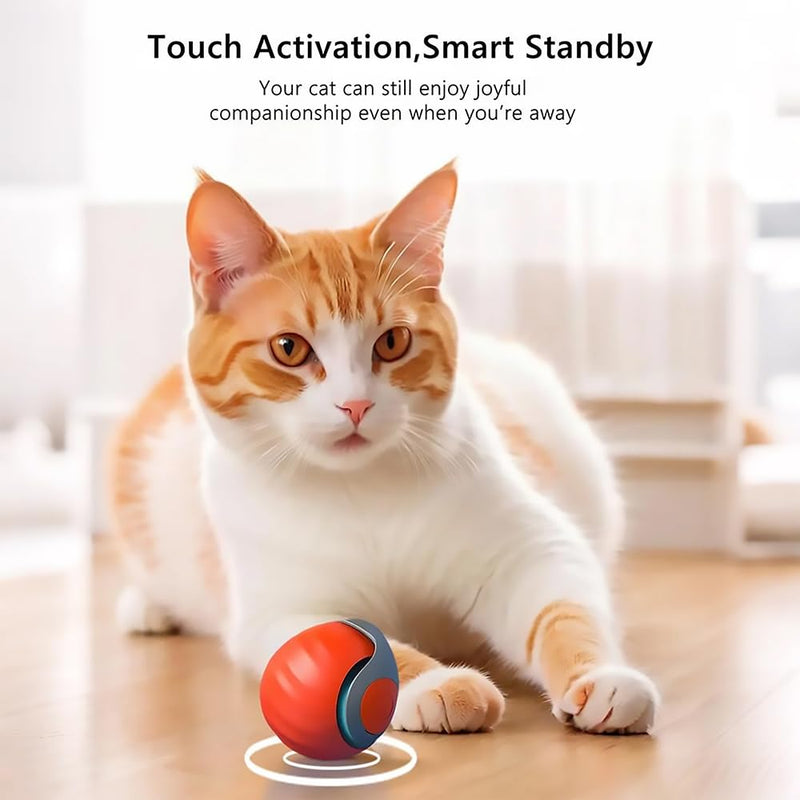 Automatic Cat Ball Toy with 2 Feather Tails - Rechargeable Interactive Cat Toys, 2-Speed Motion Activated Roller for Indoor Cats to Relieve Boredom (Small/Medium/Large Cats) (Orange) Orange - PawsPlanet Australia