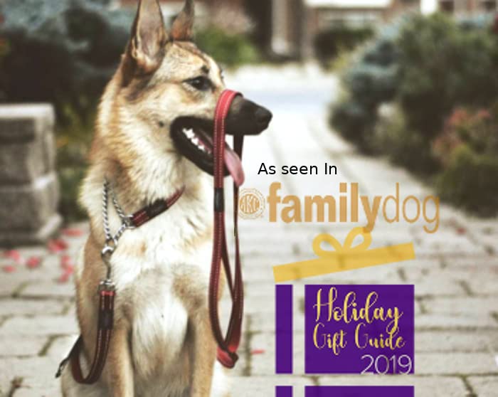 Reflective Nylon Choke Collar; Slip Show Obedience Training Gentle Choker for Medium Dogs, Orange - PawsPlanet Australia