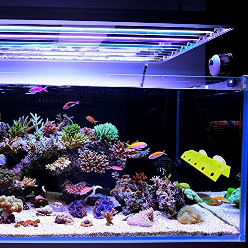 Fluorescent Green Coral Frag Holder Acrylic Coral Rack with Powerful Double Suction Cup Suitable for Household Fish Tanks (10 Plug Holes) - PawsPlanet Australia