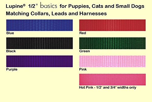 LupinePet Basics 1/2" Black 30-foot Extra-Long Training Lead/Leash for Small Pets - PawsPlanet Australia