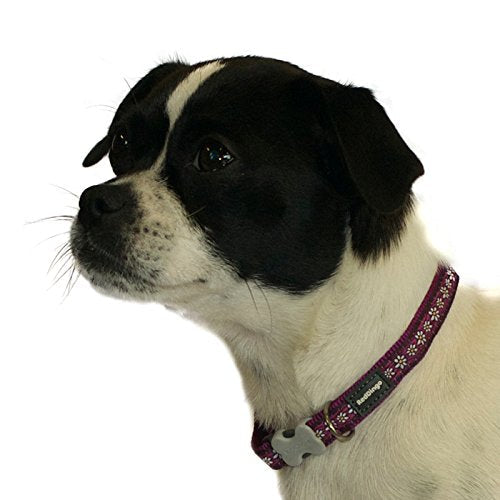 Red Dingo Bucklebone Dog Collar Design, Daisy Chain Purple, Medium 20mm M (Pack of 1)