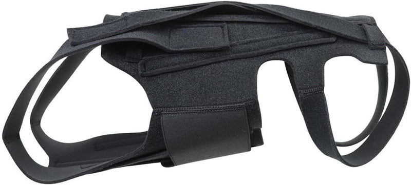 Dog Back Brace for Slipped Disc and Dog Arthritis Support, IVDD Dog Supplies, Dachshund Back Support, Back Brace for Dogs with Back Disease and IVDD [Includes 5 Dog Teeth Cleaning Wipes] (L) L - PawsPlanet Australia