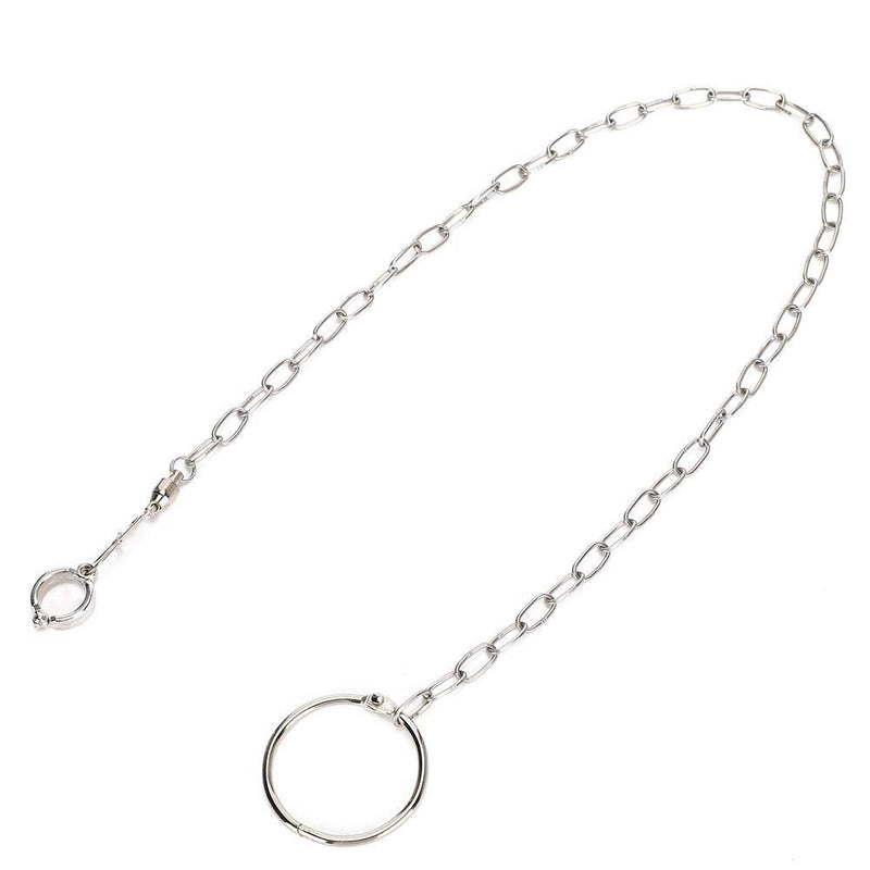 TOPINCN Bird Foot Chain Flying Stainless Steel Training Rope Outdoor Parrot Ankle Foot Ring Accessories Bird Harness Leash Prevent Escaping - PawsPlanet Australia