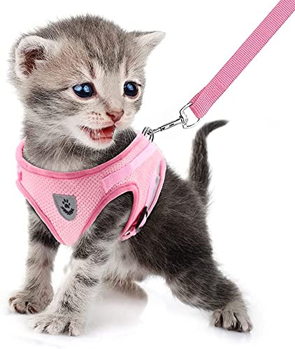 FEimaX Dog Harness and Leash Set, No Pull Soft Mesh Pet Harness for Walking Escape Proof Small Cat Step-in Adjustable Vest with Reflective Strip Fit Puppy Kitten Rabbit Pink XS - PawsPlanet Australia