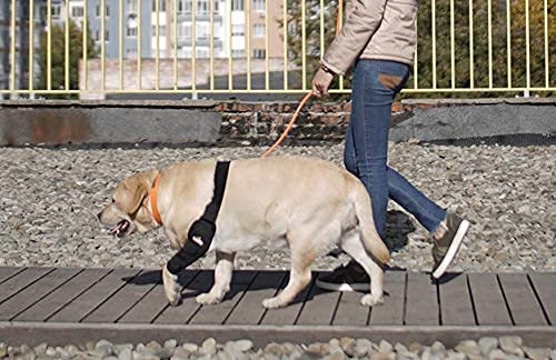 NeoAlly Dog Elbow Brace Protector Pads for Canine Elbow and Shoulder Support Elbow Hygroma, Dysplasia, Osteoarthritis, Elbow Calluses, Pressure Sores and Shoulder Dislocation (Left Leg, Large) Left Leg