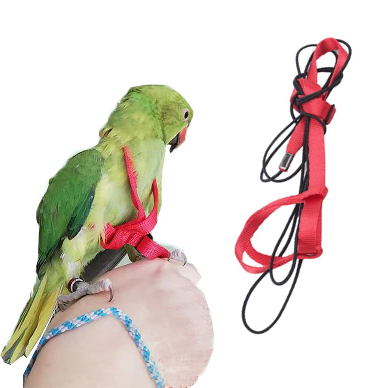 Adjustable Birds Harness and Leash Parrot Harness Leash Training Supplies Pet Anti-bite Outdoor Flying Rope for Conures Budgerigar Lovebird Cockatiel Mynah (S, Red) Small - PawsPlanet Australia