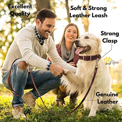 ADITYNA Leather Dog Leash 6 ft x 3/4 inch - Soft, Strong, Heavy Duty for Large & Medium Breeds - Dog Lead for Walking, Training, Hiking and Running (Brown) L - 6 ft x 3/4 inch Brown - PawsPlanet Australia