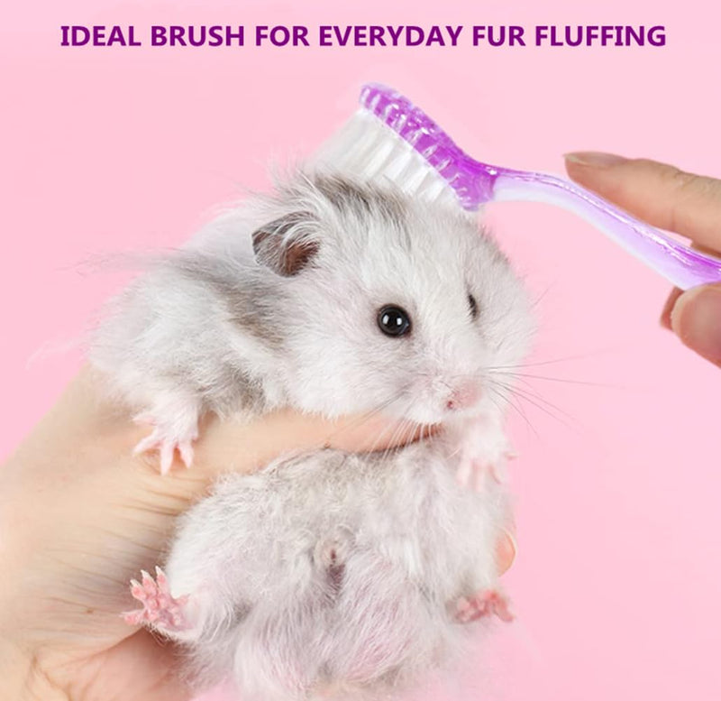 3PC Small Animal Bath Brush with Lid Soft Cleansing Brush Massage Combs for Hedgehog Guinea Pig Rabbit Chinchilla Ferret Small Animal Grooming Tool Cleaning Supplies - PawsPlanet Australia