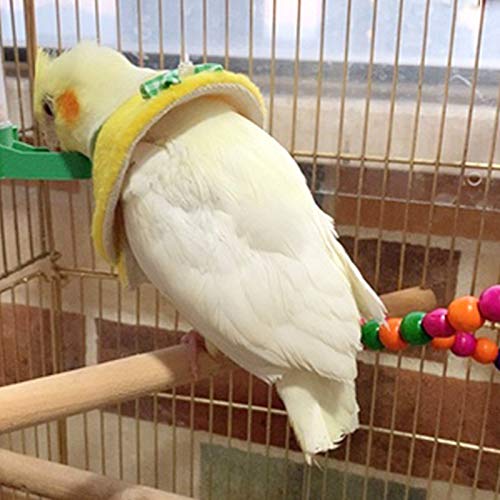 MANON ROSA Bird Collar - Anti-Bite Elizabethan Recovery Cone Feather Plucking Protector Skin-Friendly Neckwear for Parakeets Conures Cockatiels and Small Animals Chinchilla Hamster (M,3 Packs) Medium 3 Packs - PawsPlanet Australia