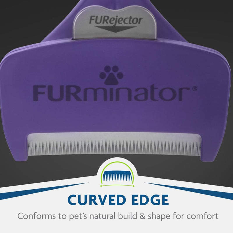 FURminator deShedding Tool For Medium/Large Cats, Short Hair, Removes Loose Hair From Shedding Large - PawsPlanet Australia