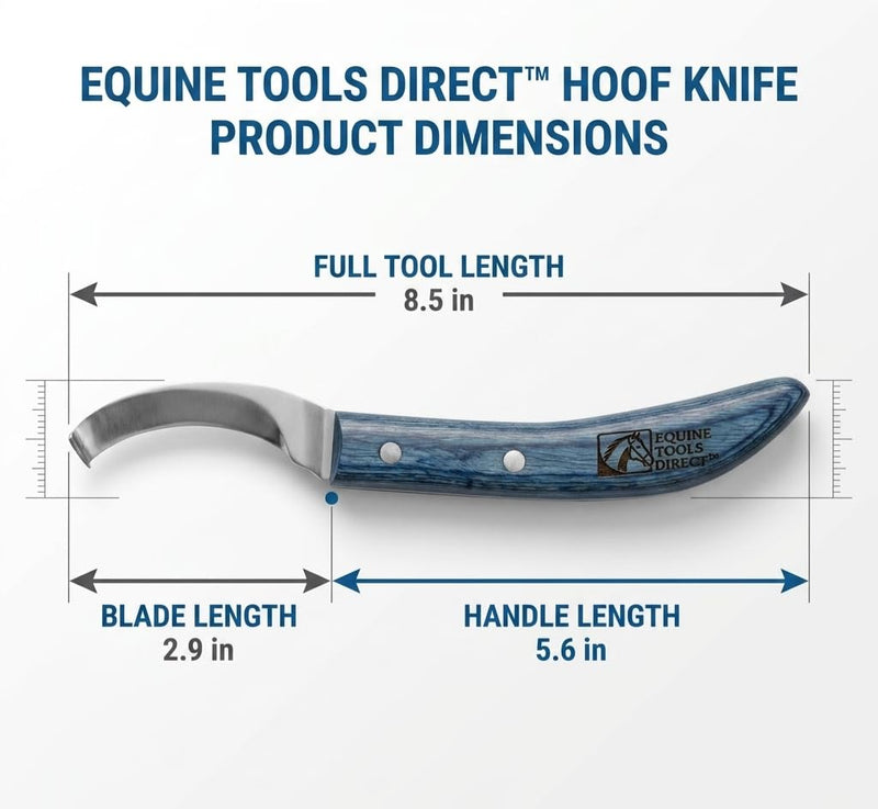 Curved Blade Hoof Knife, J2 420 Magnetic Stainless Steel, Right-Hand, Ergonomic Blue Handle, Professional Farrier Trimming Tool Right-Handed