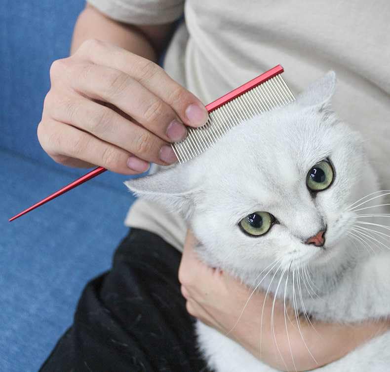 Pet Grooming Comb Rat Tail Comb Cat Hair Trimmer Combs Dog Hairstyle Comb Float Hair Removal Dematting for Cat Dogs Cat Comb Dog Comb Rounded Ends Pet Hair Comb for Home Grooming (One Size,Purple 1) One Size Purple 1 - PawsPlanet Australia