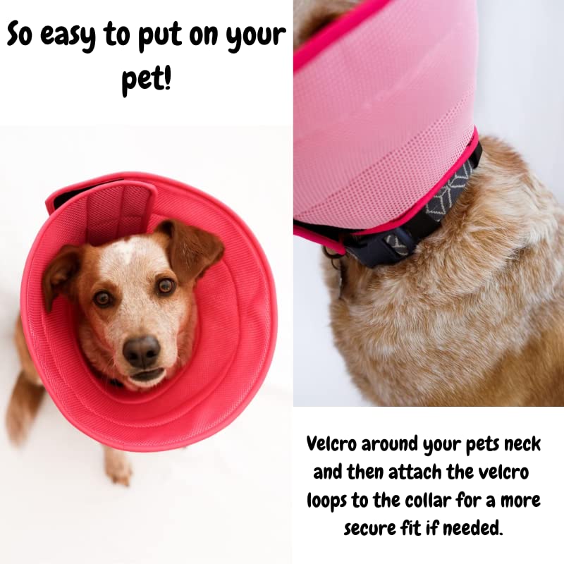 Extra Large Pet Recovery Collars Extra Large Pink - PawsPlanet Australia