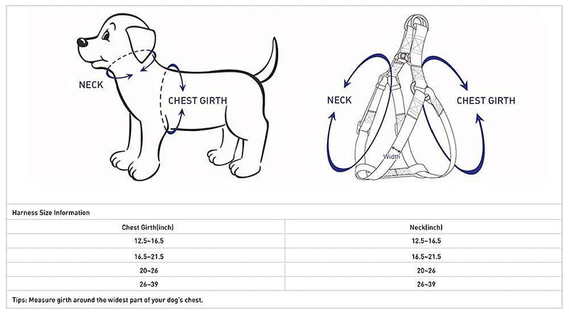 Blueberry Pet Essentials Bundle Set - Small Turquoise Dog Collar + Chest Girth 16.5-21.5" Harness - PawsPlanet Australia