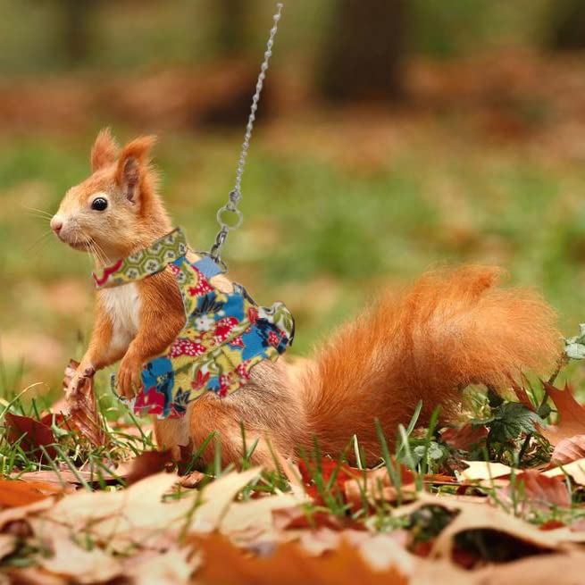 Squirrel Leash and Harness Vest Set, Adjustable Flora Small Animal Traction Rope Strap for Ferret, Squirrel, Dwarf Chinchilla, Guinea Pig, Fancy Rat Blue Printing - PawsPlanet Australia