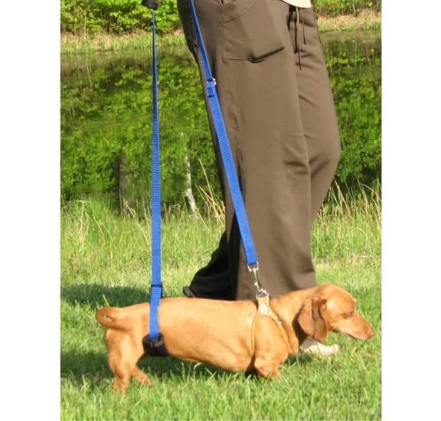 GINGERLEAD Dog Support Sling Harness, X-Small Fits Little Pets Under 25 lbs or Dachshunds with IVDD, Spinal Disc Disease, or Back Injuries. Assist Old or Recovering Pets. Chest Harness NOT Included. - PawsPlanet Australia