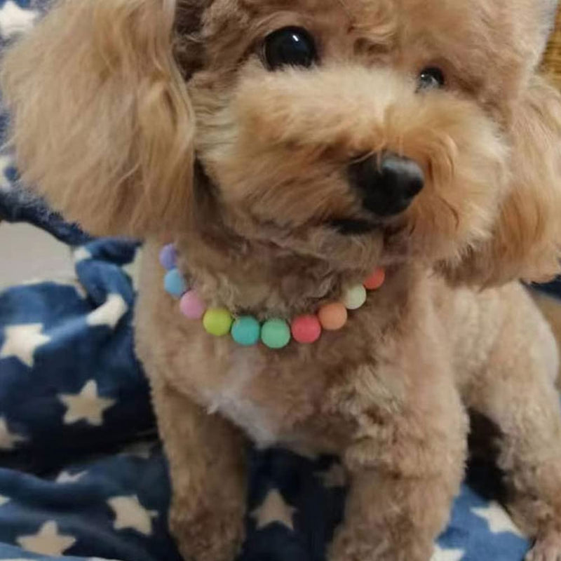 Pet Jewelry Candy Color Dog Pearl Collar Cute Teddy Necklace Jewelryc Chihuahua York Girl Clothing Dress Accessories(10+2.5 in) - PawsPlanet Australia