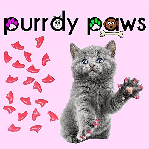 40 Pack Soft Nail Caps for Cat Claws Soft Pink Kitten - PawsPlanet Australia