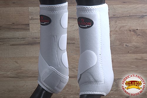 HILASON White X Large Horse Medicine Sports Boots Front Leg