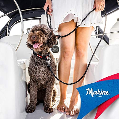 EZYDOG Marine Training Slip Dog Lead | 1.7m, Climbing Rope, All-In-One, One-Size-Fits-All, Silicon Waste Bag Keeper,Easy to Slip On, No Harness or Collar Needed, Sailing Snap Clip, (Regular, Black) Regular