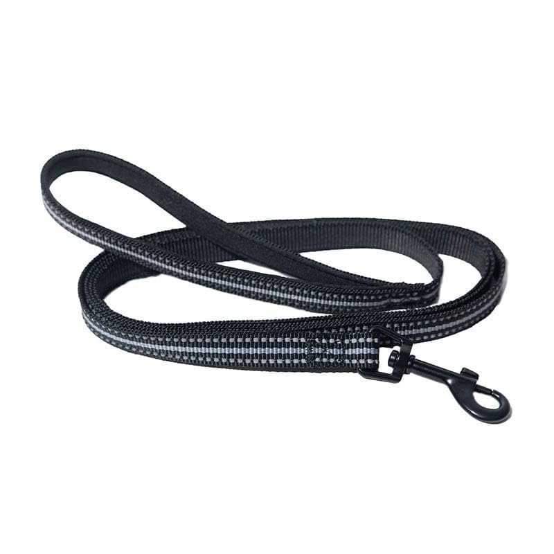 Travel Cat & Stray Cat Harness and Leash Set - Adjustable Velcro Mesh Cat Harness and Strong Nylon Leash Kit - Comfort Escape Proof Harness for Cats, Kitten for Outdoor Walking (Large: 13-16 in) LARGE: 13-16 IN - PawsPlanet Australia